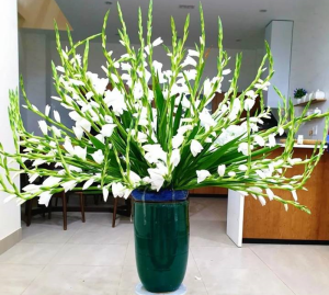 Cắm hoa dơn nên chọn kiểu quạt xòe để tôn lên nét đẹp tinh tế nhất